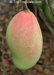 Pin On Gardening