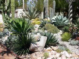 Cactus Succulent Garden At Sherman Gardens Succulent Landscaping Dry Garden Cactus Garden Design