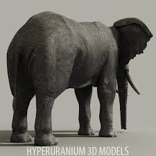 African Elephant 3d Model In 2020 Elephant African Elephant Elephant Sculpture