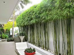 Want to redesign the garden in your home, you can apply a bamboo garden design to decorate your home landscape. 10 Bamboo Landscaping Ideas Modern Garden Landscaping Modern Landscaping Bamboo Landscape