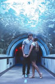 Aquarium Photography Cincinnati Aquarium Couples Things To Do Travel Photography
