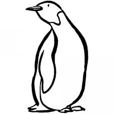 Dibujo Pinguino Para Colorear