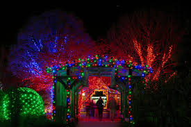Winter Lights At The Nc Arboretum In Asheville Winter Light Photo Tour Arboretum