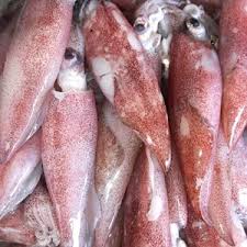 Jual Produk Seafood Jakarta Dari Cv Karunia Abadi Semesta Ikan Daging Ayam