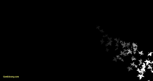 Pin By Mahdiyeh Mohajer On Insta Dark Black Wallpaper Black Wallpaper Dark Wallpaper