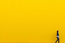 Yellow Wall Pictures Download Free Images Stock Photos On Unsplash ✓ free for commercial use ✓ high quality images. yellow wall pictures download free