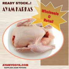 Pin Di Grosir Ayam Potong Jogja