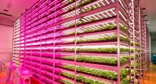 Led Grow Lights The Right Led Greenhouse Lighting Led Grow Lights Grow Lights Home Hydroponics