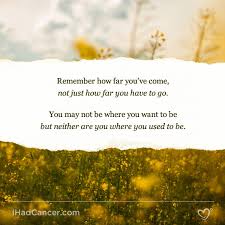 What we can say about a cancer survivor, the cancer survivors are really great. 20 Inspirational Cancer Quotes For Survivors Fighters