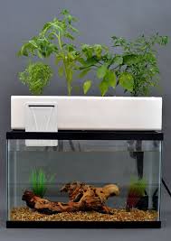 Blue Green Box Hydroponic Garden Aquaponics System Aquaponics Aquaponics Diy