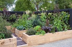 Naturalistic Edible Garden In Nz Vegetable Garden Design Small Vegetable Gardens Edible Garden