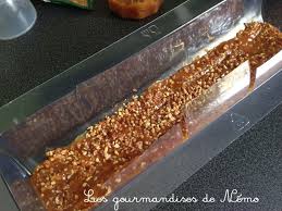 Buche Glacee Vanille Caramel Beurre Salee Et Nougatine Faire Une Buche Glacee Maison Moule A Buche En Plastique Dessert Glac Nougatine Alimentation Caramel