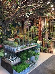 Tanaman Garden Center Displays Flower Shop Design Flower Shop Interiors