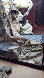 Click The Image To Open In Full Size Http Www Dendroboard Com Forum Members Frogs Vivariums 270426 18x18 Reptile Terrarium Reptile Room Reptile Tank