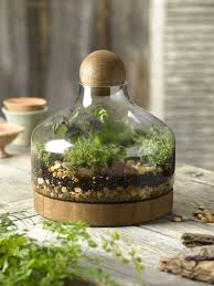 Glass Wood Terrarium Large Terrarium Plants Tabletop Terrarium Garden Terrarium