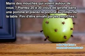 Comment Je Fais Fuir Les Mouches Avec Une Astuce Toute Simple En 2020 Faire Fuir Les Mouches Chasser Les Mouches Trucs Et Astuces