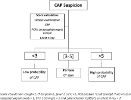 Community Acquired Pneumonia In The Emergency Department An Algorithm To Facilitate Diagnosis And Guide Chest Ct Scan Indication Clinical Microbiology And Infection