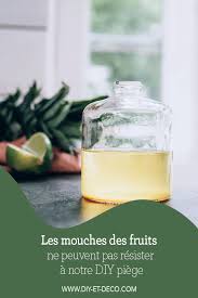 Les Mouches Des Fruits Ne Peuvent Pas Resister A Notre Diy Piege Fruits Mouche A Fruit Piege A Mouche