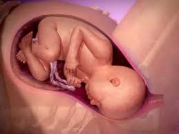 Birth of baby (vaginal childbirth). Inside Pregnancy Labour And Birth Video Babycentre Uk