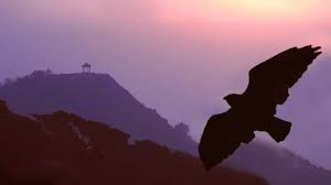 Pan Flute Romantic Instrumental Music More Than 2 Hours Of Flute De Pan Love Songs Youtube