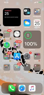 Ios 14 Home Screen Ideas Cute In 2020 Iphone Organization Homescreen Iphone Phone Apps Iphone