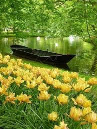 Garden Designs Ideas 2018 Keukenhof Gardens The Netherlands Beautiful Nature Beautiful Places Nature