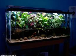 3 Proven Riparium Plant Combinations Plant Combinations Plants Aquatic Plants