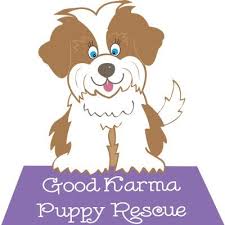 ▪ petsmart at 300 n. Good Karma Puppy Rescue Good Rescue Twitter