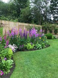 Sweet Rocket Flowers With Lupins Alliums Iris Golden Feverfew Foxgloves Idei Ozeleneniya Dizajn Cvetochnogo Sada Dizajn Sada
