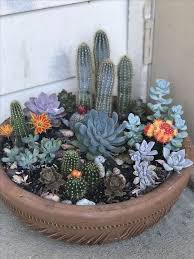 60 Magical Succulent Garden Design Ideas For Interior And Exterior And Remodeling Cactus Arrangements Mini Cactus Garden Succulent Garden Diy Succulents
