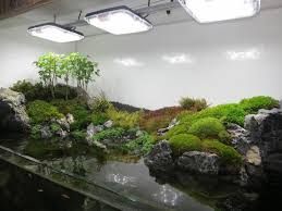 90g Cliffside Paludarium Build Thread Aquarium Landscape Aquascape Planted Aquarium