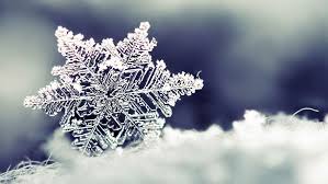 By Wallpaperviewinfo Labels Hd Wallpaper Snowflakes Beautiful Wallpaper Winter 1136x640 Download Hd Wallpaper Wallpapertip Discover stunning winter images for your wallpaper or project. by wallpaperviewinfo labels hd