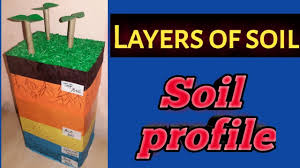 Model Of Layers Of Soil Soil Profile Model Of Composition Of Soil Kansalcreation Schoolproject Youtube