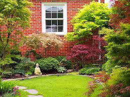 Ever Consider Going Lawnless Japanese Maple Garden Japanese Maple Tree Landscape Backyard
