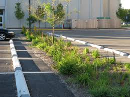 Rain Garden Parking Lot Urban Landscape Design Streetscape Design Campus Landscape