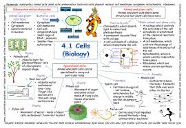 New Aqa Gcse Cells Revision Poster 2018 Exam Biology Revision Gcse Biology Revision Gcse Maths Revision