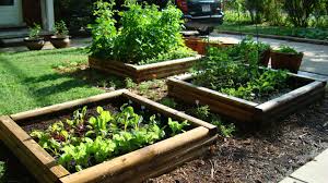How To Grow A Beautiful Garden At High Altitude Vegetable Ga Vegetable Garden Raised Beds Vegetable Garden Design Raised Garden Beds