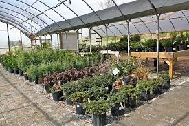Plant Center Displays For Retail Bing Images Garden Center Displays Garden Center Garden Nursery
