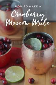 This Cranberry Moscow Mule Recipe Is The Best Thing To Happen To Winter Cranberry Moscow Mule Recipe Moscow Mule Recipe Mule Recipe