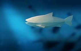 Salmon Fish 3d Papercraft Model Download Pdf Template Etsy Paper Crafts Salmon Fish Salmon