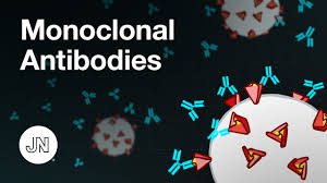 Coronavirus Treatment And Prevention With Monoclonal Antibodies Youtube