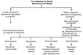 Control And Coordination Class 10 Notes Science Chapter 7 Learn Cbse Class10sciencenotes Scienceclass10notes Class Science Notes Teaching Biology Science