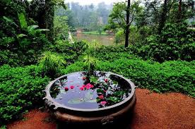 Garden Idea Via Whats Ur Home Story Indian Garden Front Yard Landscaping Front Yard Garden Design