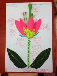 3d Flower Power Flower Science Parts Of A Flower School Science Projects