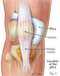 Time Heals All Wounds Sometimes With The Help Of A Sharp Knife Physical Therapy Knee Problem Health Info