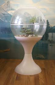 Reserved For Robby Giant Iconic Terrarium Tiara Casa Heavy Etsy Open Terrariums Terrarium Large Terrarium