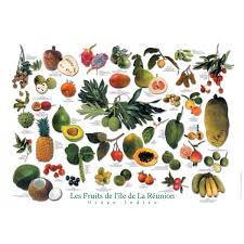 Les Fruits De L Ile De La Reunion Ile De La Reunion Carte De La Reunion La Reunion