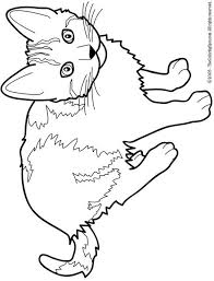 Cat Color Pages Printable Cat Free Printable Coloring Pages For Kids Coloring Pictures Coloring Pages Cat Coloring Page Coloring Books
