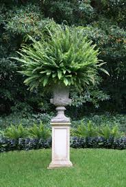 Plants For Concrete Garden Urns Garden Urns Concrete Garden Victorian Gardens