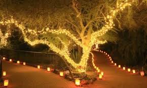 Up To Four Strings Of 50 100 Or 200 Led Solar Powered Fairy Lights Solar Powered Fairy Lights Solar Fairy Lights Outdoor Tree Lighting